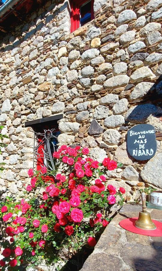 Le Mas De Ribard Bréau-et-Salagosse エクステリア 写真